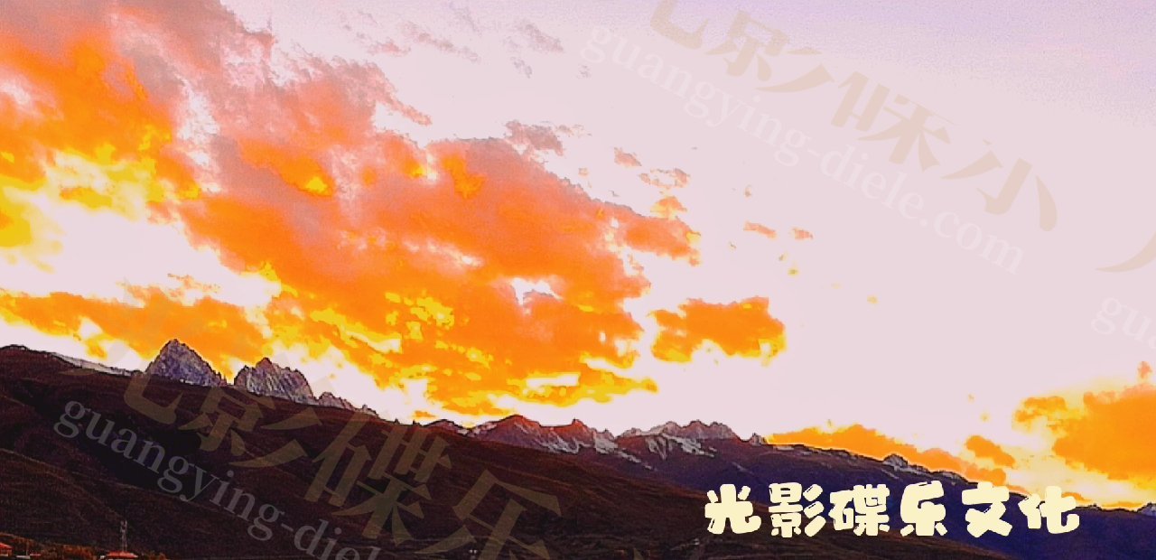 独往